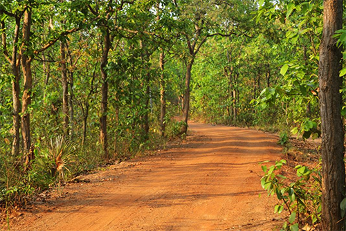 Nudging our way to health